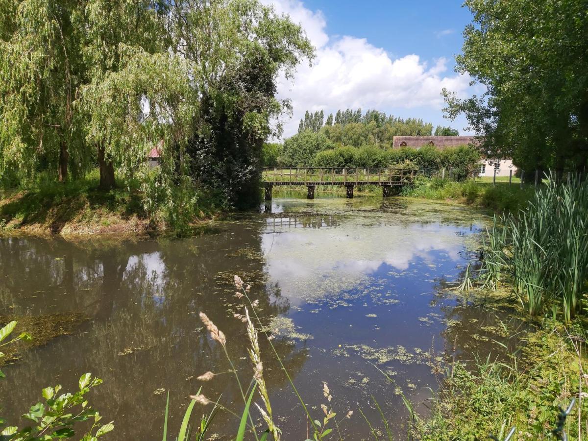 Le Bonheur Des Plumes Bed & Breakfast Montmartin-en-Graignes Екстериор снимка